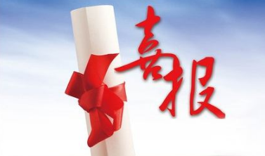 中標(biāo)人放棄中標(biāo)順延第二名中標(biāo)的程序流程