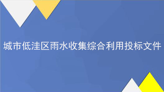 城市低洼區(qū)雨水收集綜合利用PPP項目投標(biāo)文件范本