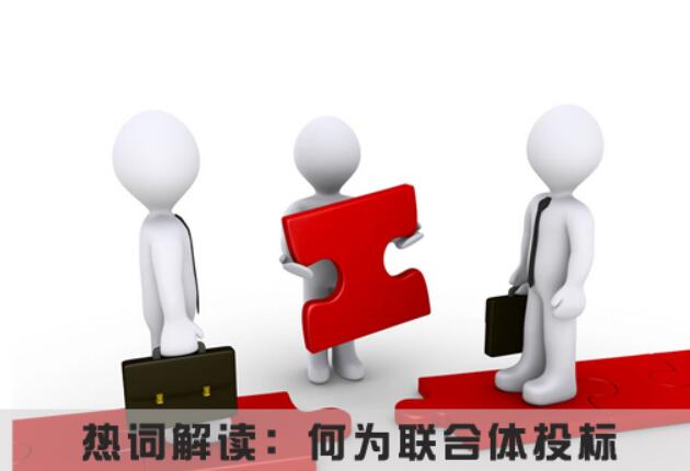 不屬于聯(lián)合體投標的書面聲明